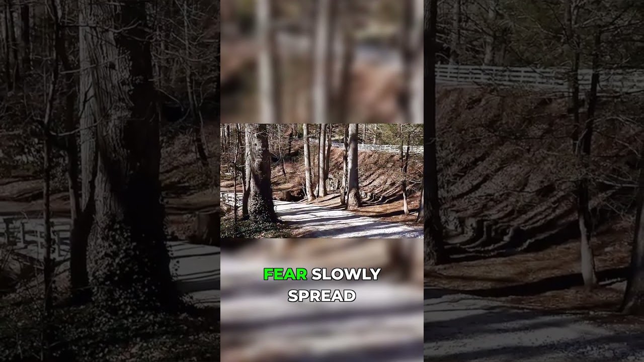 Who was the Asheville serial killer? #truecrimecommunity #scary #shorts